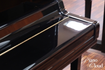 U3A